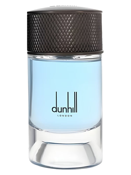 Alfred Dunhill Nordic Fougere Travel Spray