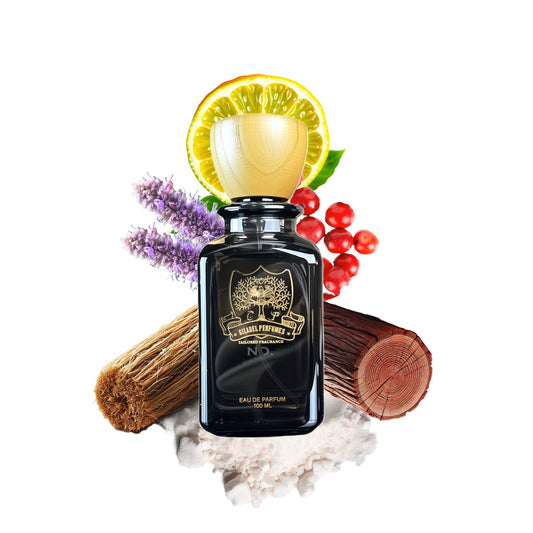 Citadel 103 inspired by Dior Homme 2020 Travel Spray