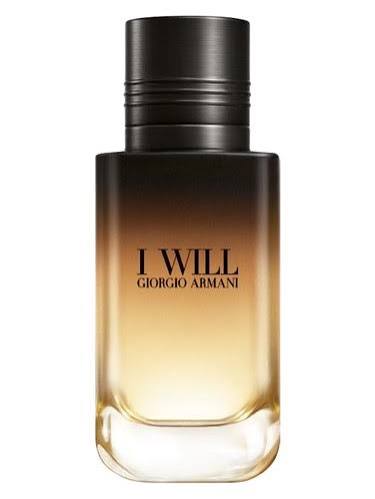 Armani I Will EDP Travel Spray